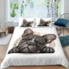 Bulldog Duvet Cover French Bulldogs Bedding Set Twin Polyester Chocolate Puppy Pet Doggy Animal Quilt Cover 1 - French Bulldog Merch