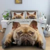 French Bulldog Duvet Cover Set Puppy Bedding Set Bedclothes with Pillowcase Single Double King Queen Size 8 - French Bulldog Merch