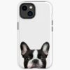 icriphone 14 toughbackax1000 pad1000x1000f8f8f8.u21 20 - French Bulldog Merch