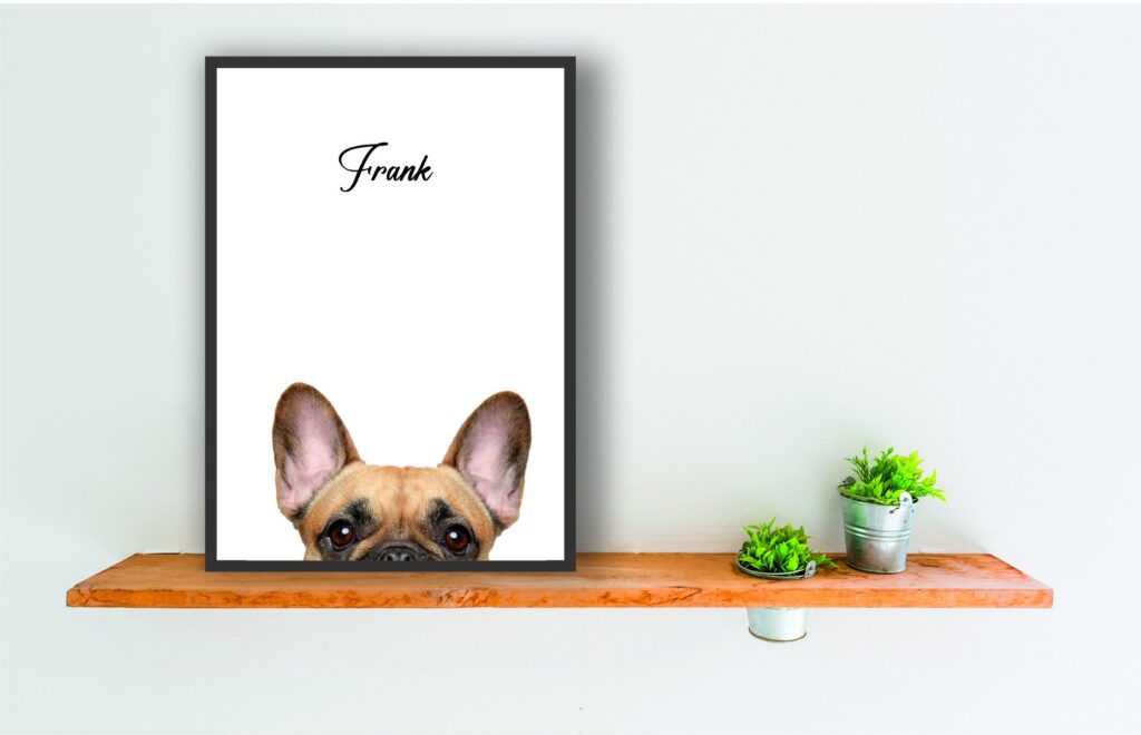 - French Bulldog Merch