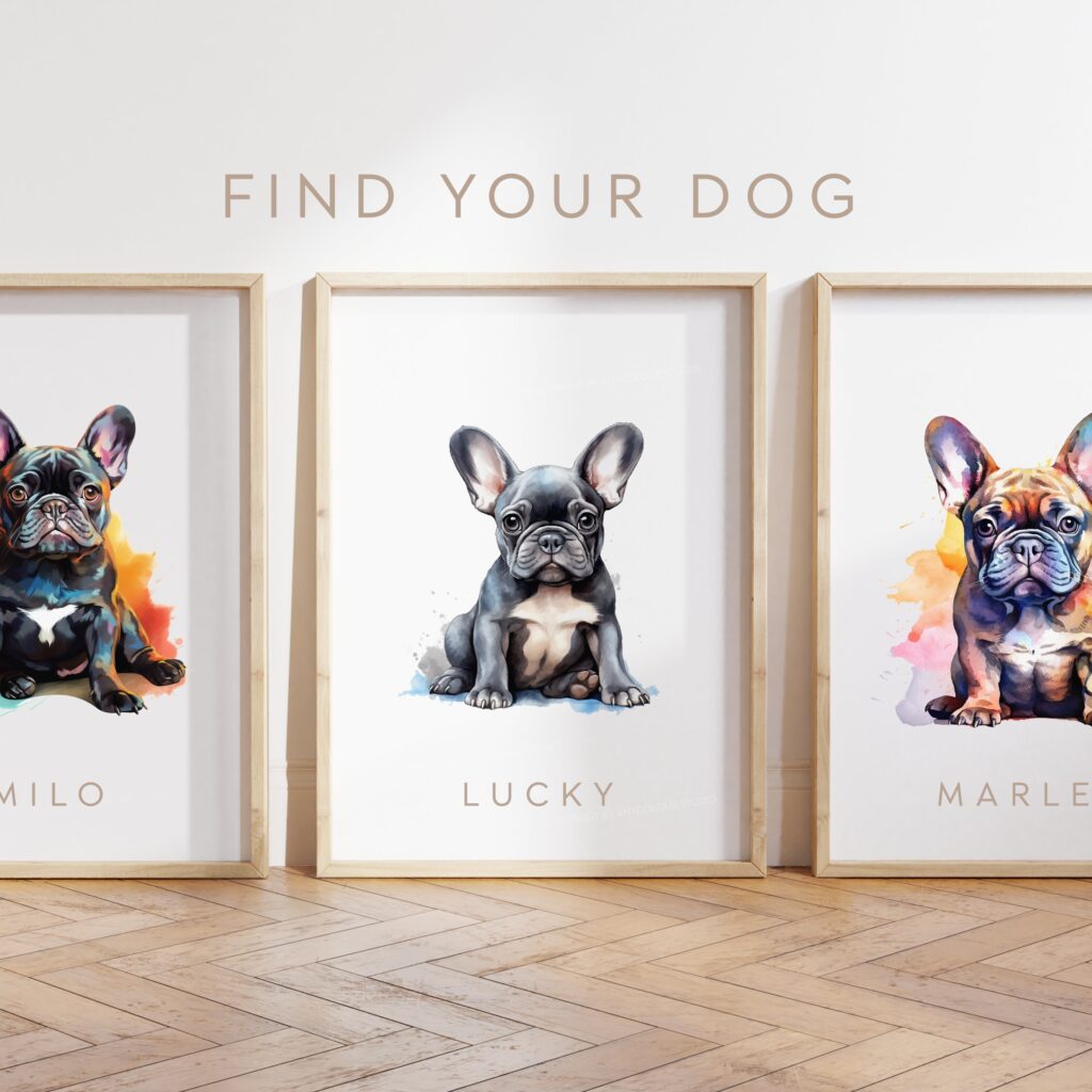 - French Bulldog Merch