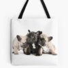 tb1040x1040large c1198800800 bgf8f8f8.u8 10 - French Bulldog Merch