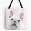 tb1040x1040large c1198800800 bgf8f8f8.u8 15 - French Bulldog Merch