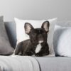 throwpillowsmall1000x bgf8f8f8 c020010001000 5 - French Bulldog Merch